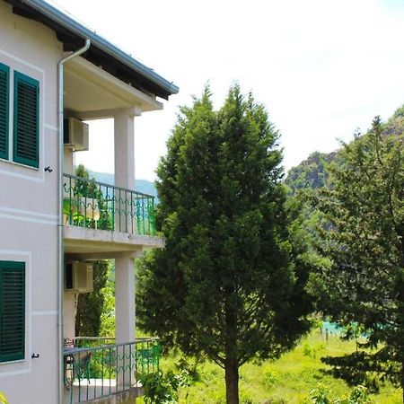 Agroturizem Hotel Vila Franceze Koman Exteriér fotografie
