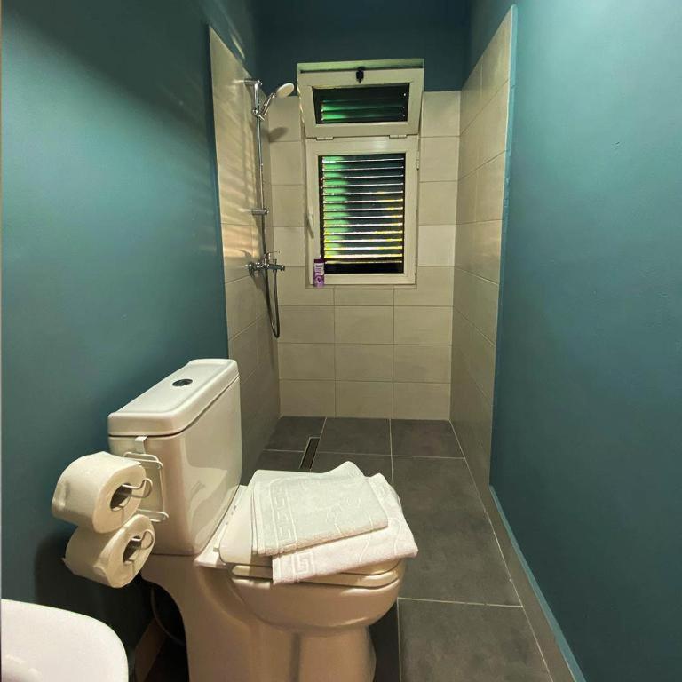 Agroturizem Hotel Vila Franceze Koman Exteriér fotografie