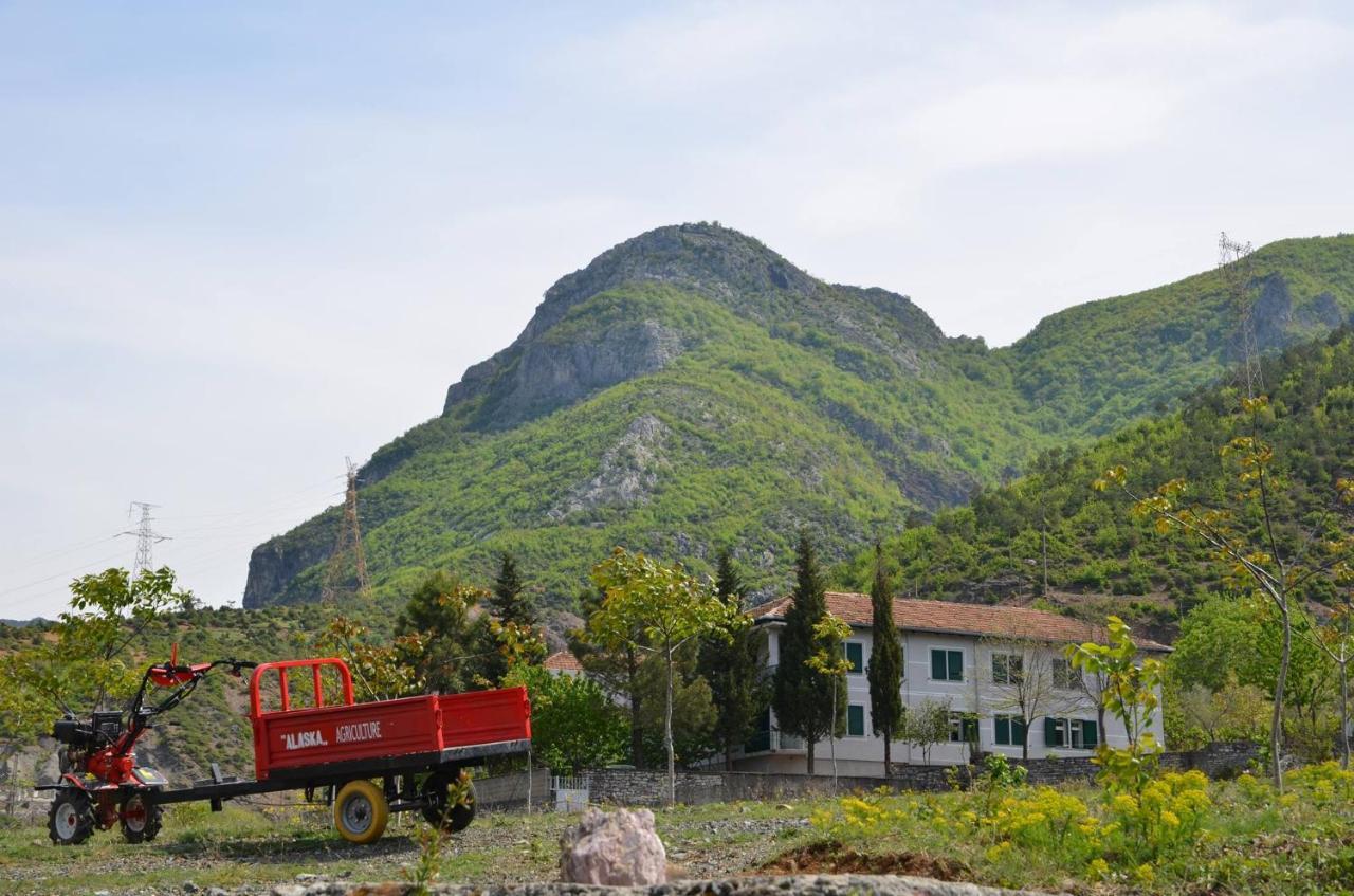 Agroturizem Hotel Vila Franceze Koman Exteriér fotografie