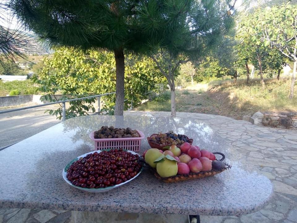 Agroturizem Hotel Vila Franceze Koman Exteriér fotografie