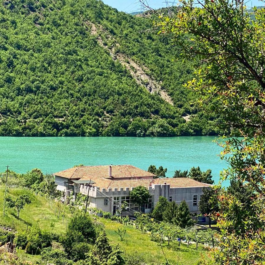 Agroturizem Hotel Vila Franceze Koman Exteriér fotografie